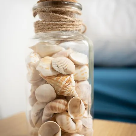 Muschel 60 Tatil Evi