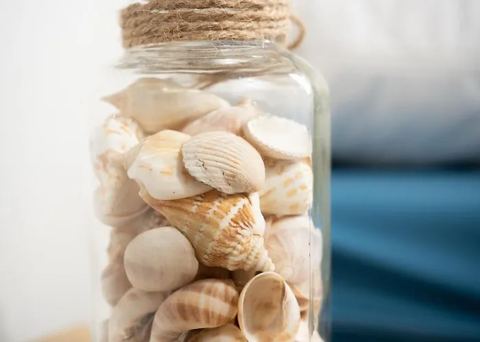 Muschel 60 Casa vacanze